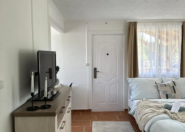 Thermal Garden Vendeghaz Holiday home